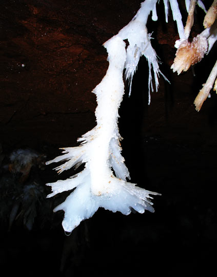 Grotte de l'Asperge