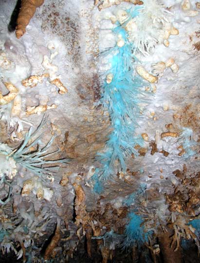 Grotte de l'Asperge