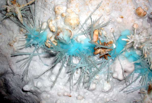 Grotte de l'Asperge