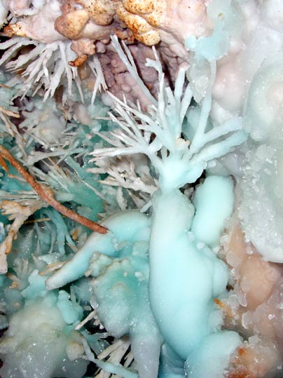 Grotte de l'Asperge