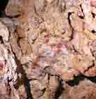 Grotte de la Baume