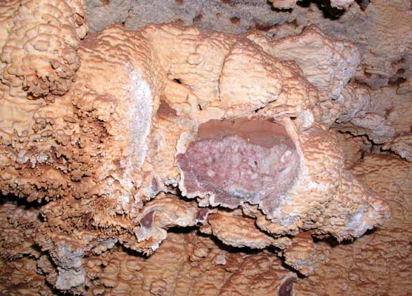 Grotte de la Baume