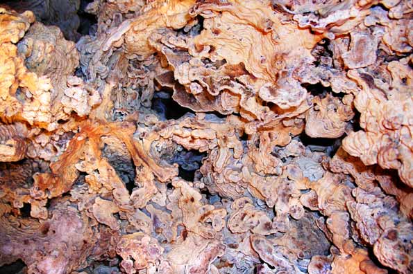 Grotte de la Baume