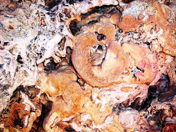 Grotte de la Baume