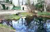 Source de Fontcaude