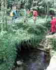 Grotte de la Trayolle