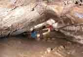 Grotte de la Trayolle