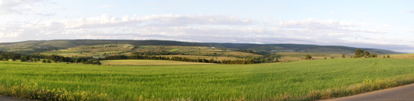 Les Bondons
