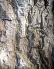 Grotte de Nabails