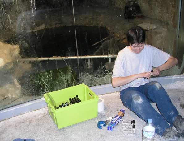 Source d'Alun