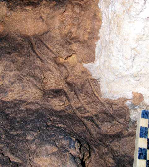 Grotte de Combrière