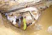Grotte de Lagnes