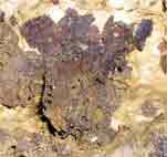Grotte de Lagnes