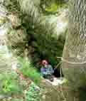 Aven de Marquisan